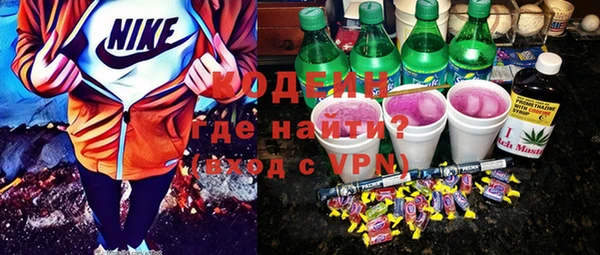 сатива Бородино