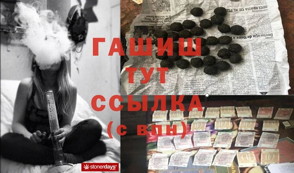сатива Бородино