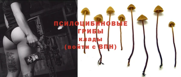 мескалин Верхний Тагил