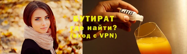 сатива Бородино