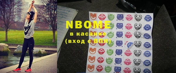 сатива Бородино
