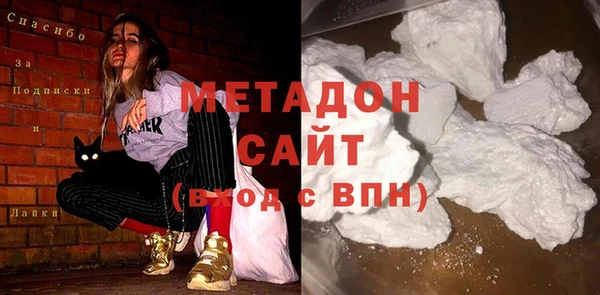 сатива Бородино