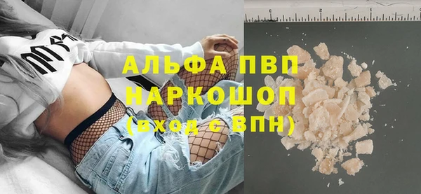 сатива Бородино