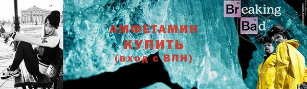 сатива Бородино