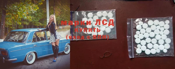 сатива Бугульма