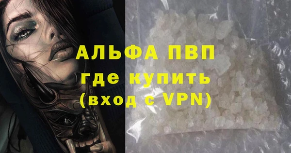 сатива Бородино