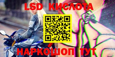 стафф Братск