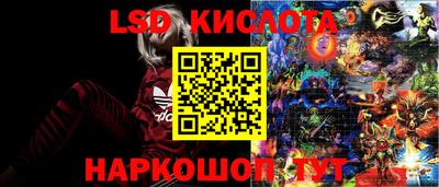 стафф Братск