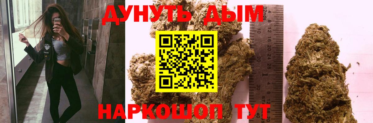 Выборг  Шишки марихуана индика  Вход с VPN  Марихуана OG Kush  Канабис марихуана 